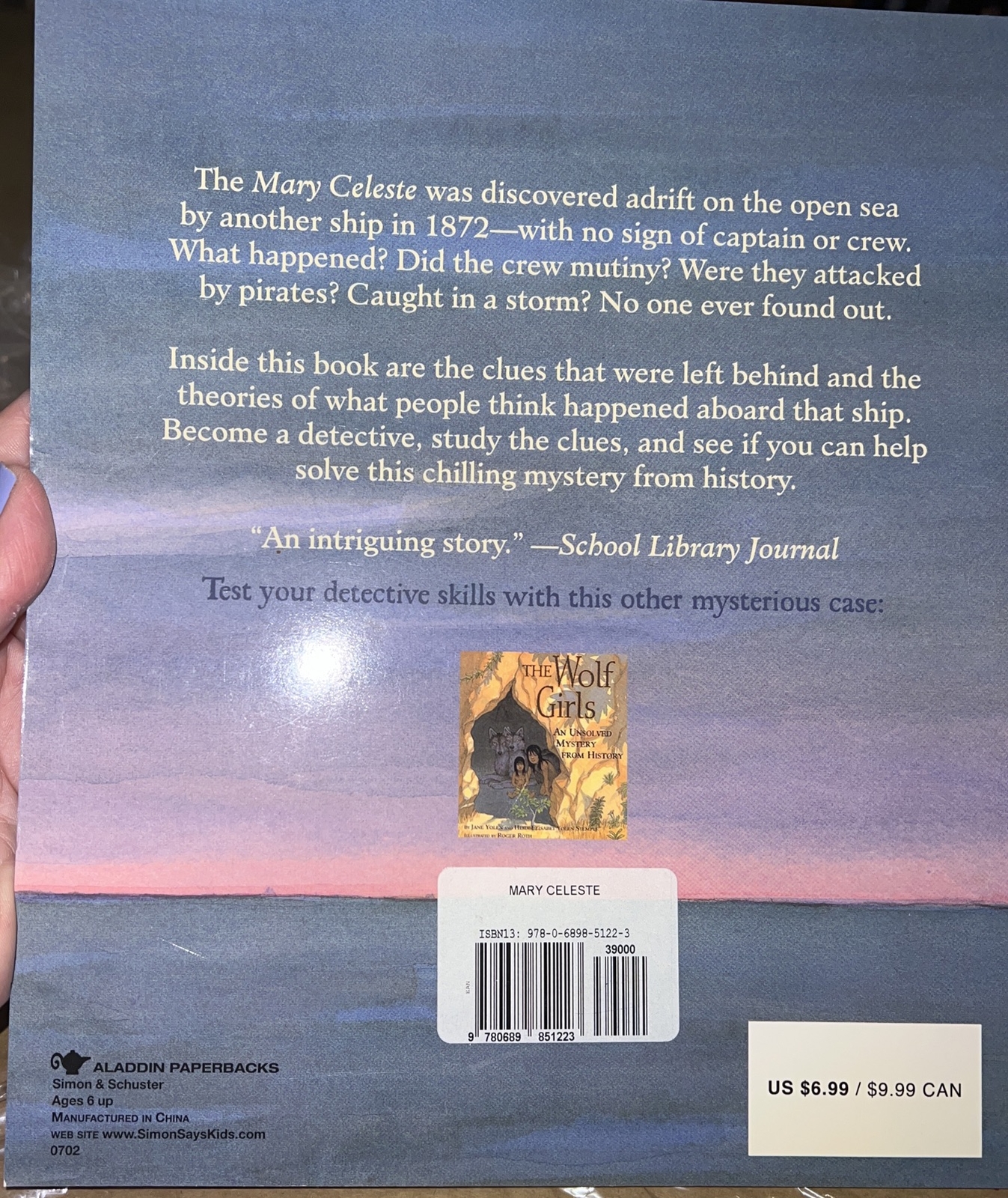 Unsolved Mystery from History: The Mary Celeste NEW Book