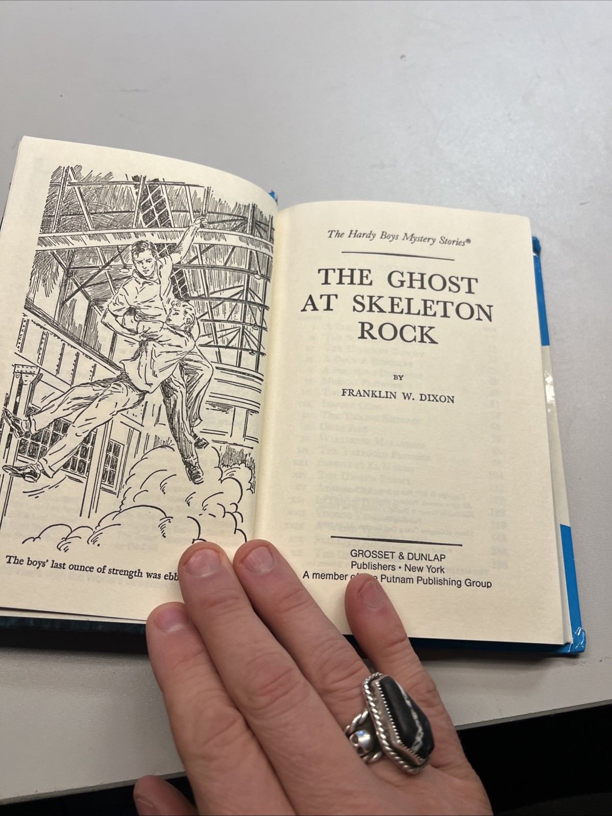 The Ghost at Skeleton Rock (Hardy Boys, Book 37)
