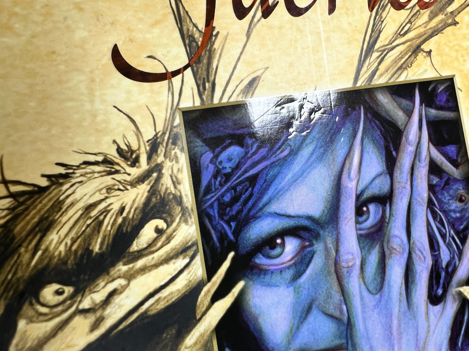 PREOWNED Good Faeries/Bad Faeries Hardcover