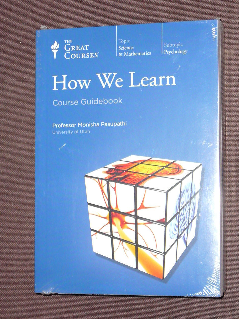 Teaching Co Great Courses CDs : HOW WE LEARN new + BONUS