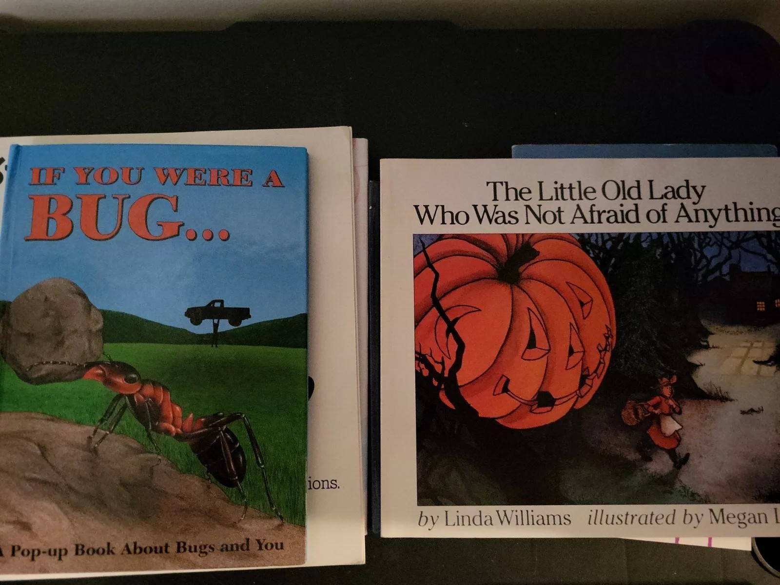 Children’s 7 Book Lot (Happy Dreamer, Where Did I Come From?, Bug Pop Up Book)