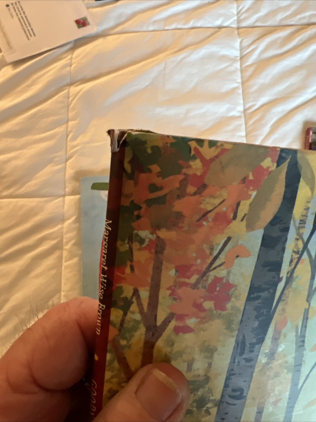 A Celebration of the Seasons: Goodnight Songs: Illustrated by Twelve Award