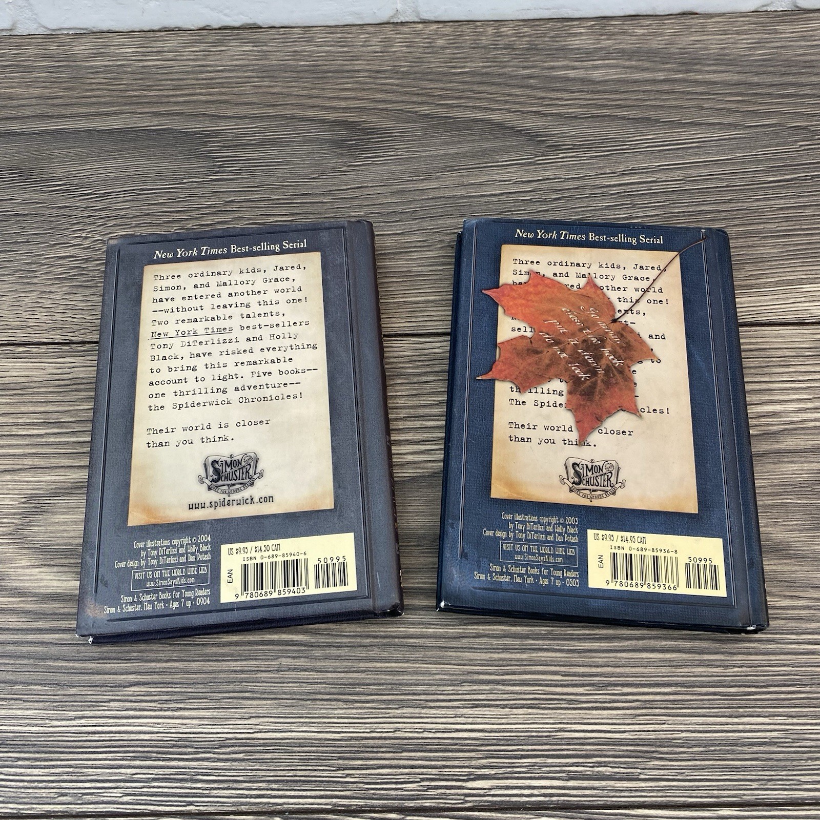 Beyond the Spiderwick Chronicles Series Books 1 And 5 in Hardcover