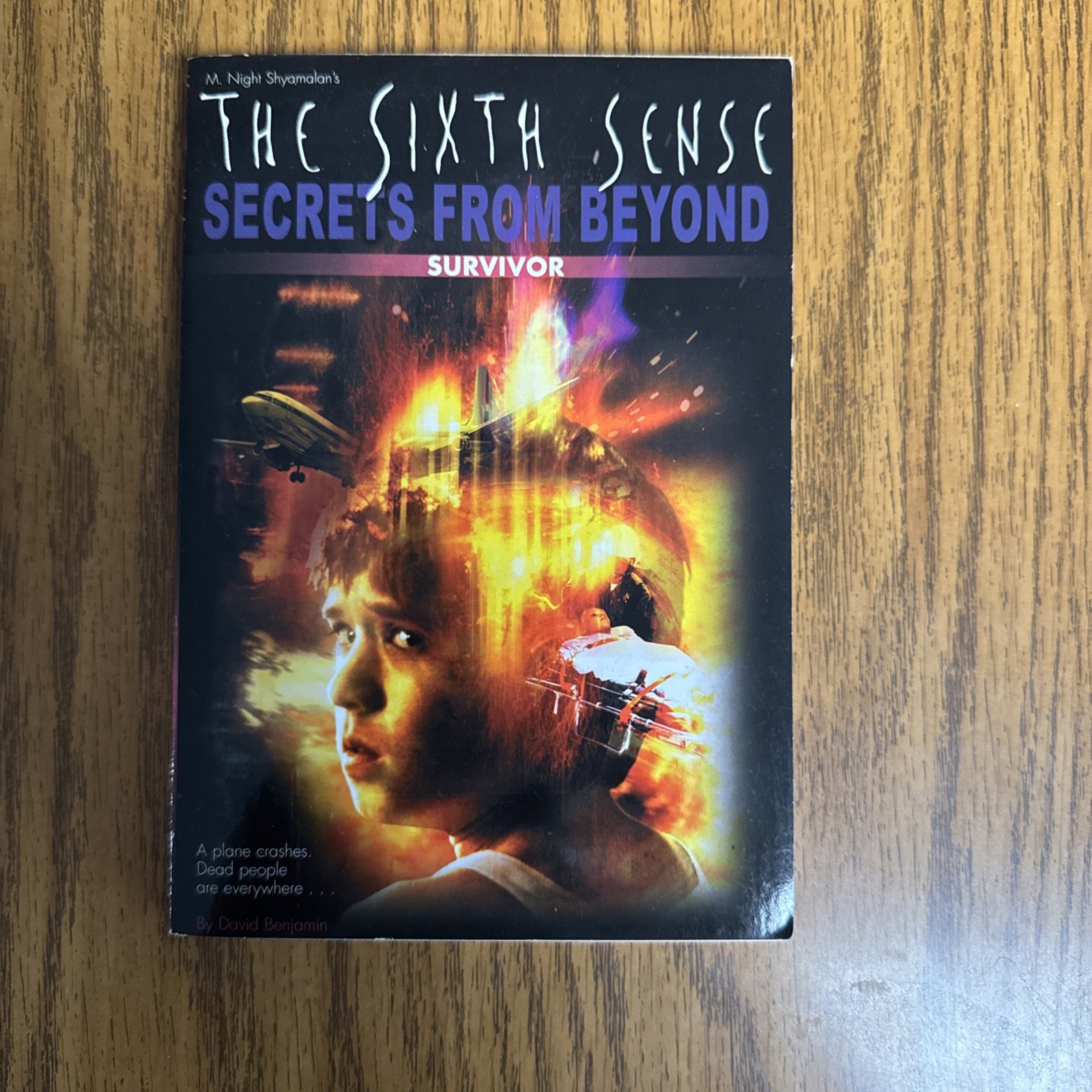 SURVIVOR Sixth Sense Secrets From Beyond #1 David Levithan Shyamalan Tie-In Book