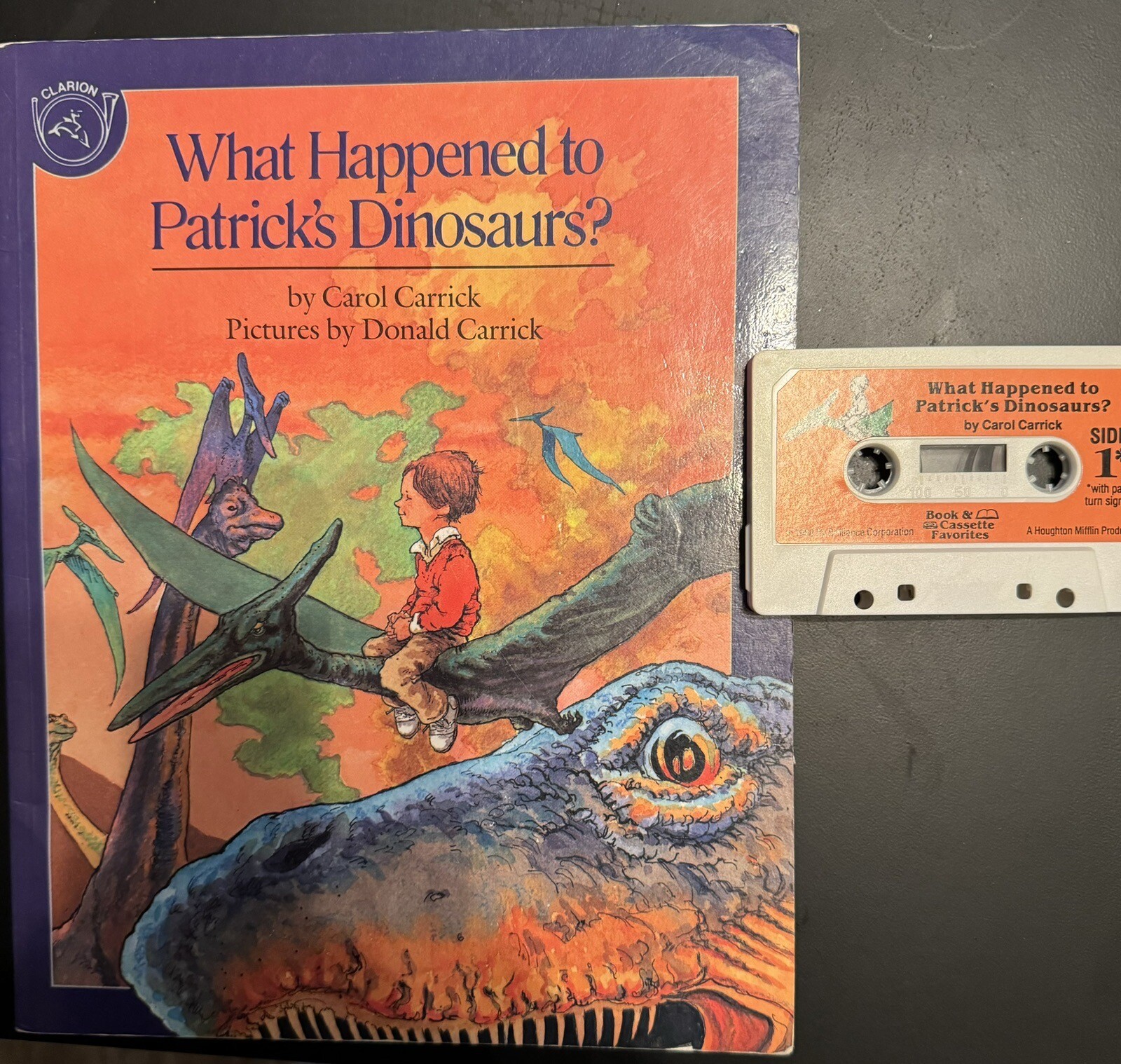 What Happened to Patrick’s Dinosaurs? by Carol Carrick (1986, Cassette)