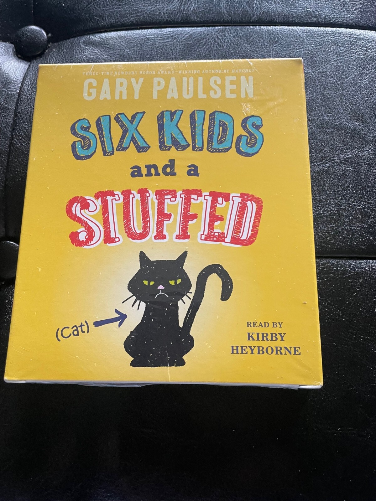 Six Kids and a Stuffed Cat Audiobook Audio Book NEW SEALED