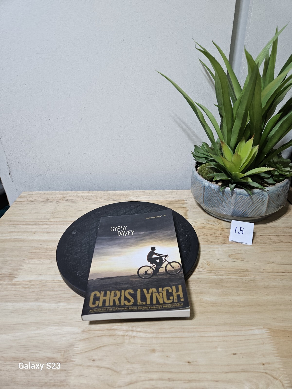 GYPSY DAVEY By Chris Lynch 2014 Paperback