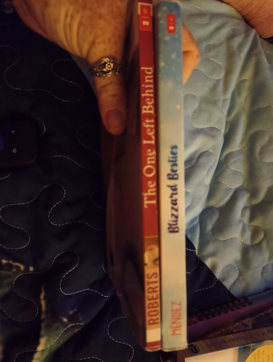 Y2k Young Adult Book Lot In Your Room & The One Left Behind Love Teens