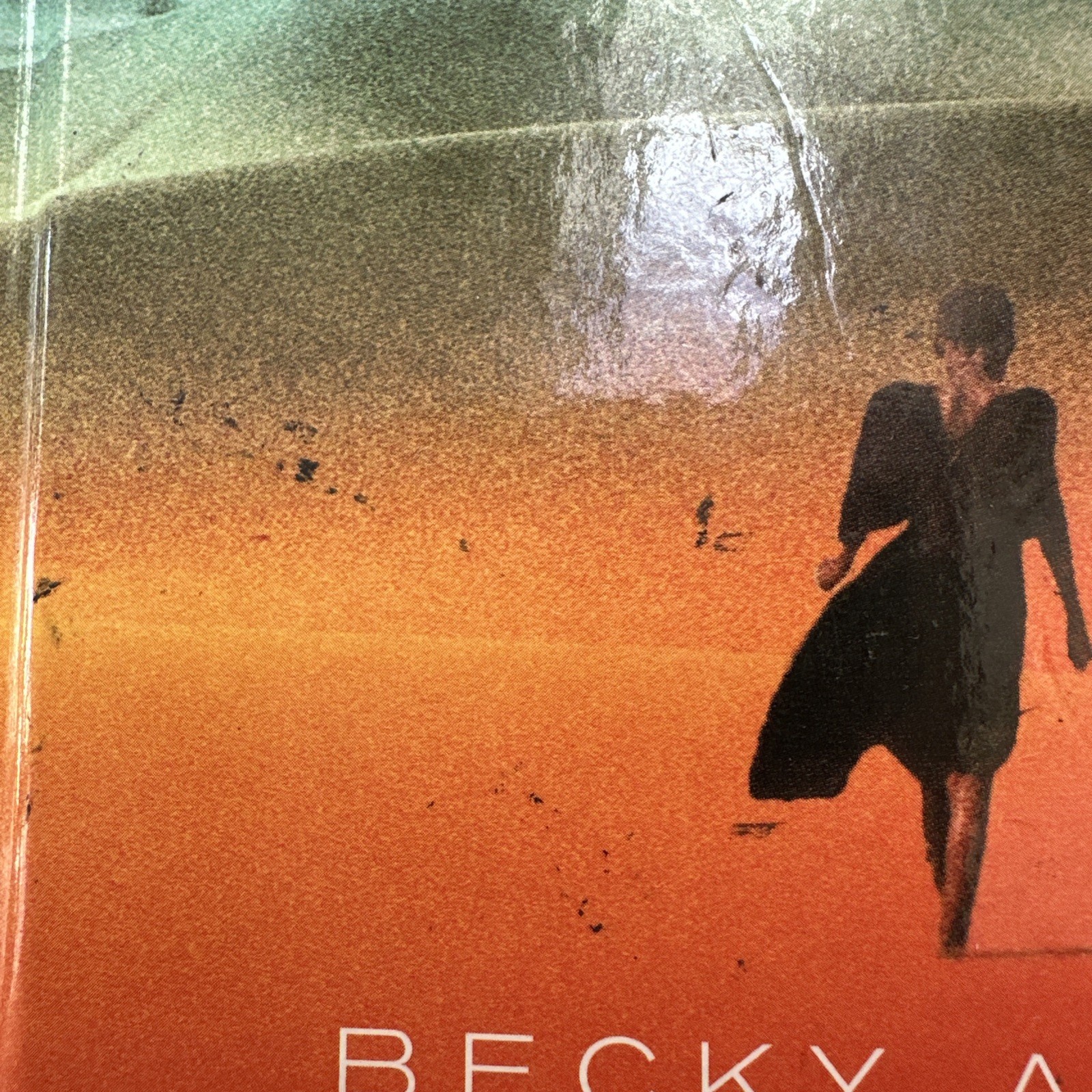 Bound by Blood and Sand by Becky Allen (2016, Library Binding)