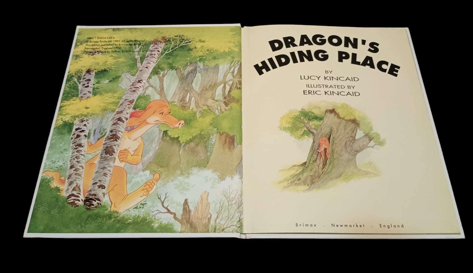 Dragons Hiding Place Book Read Yourself Lucy Kincaid LARGE TYPE Brimax 1994 UK