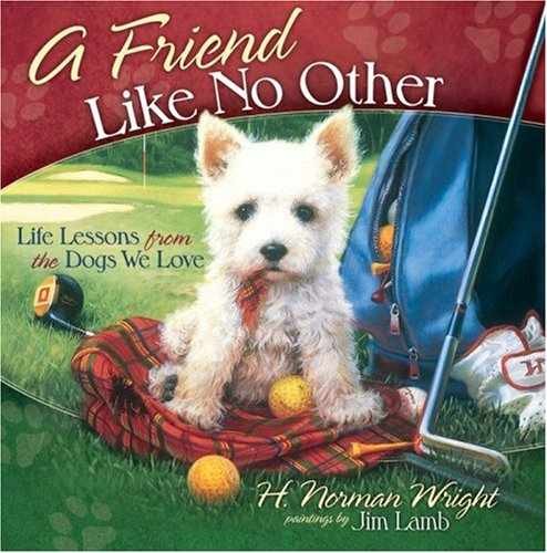 A Friend Like No Other: Life — Hardcover, by Wright H. Norman — Very Good