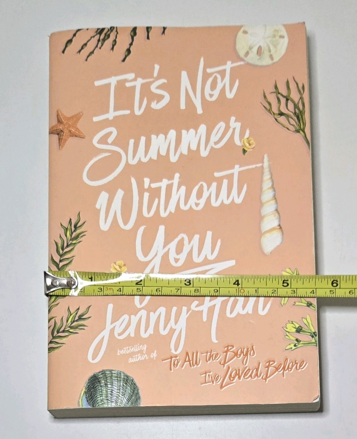 2010 It’s Not Summer Without You By: Jenny Han Paperback Book