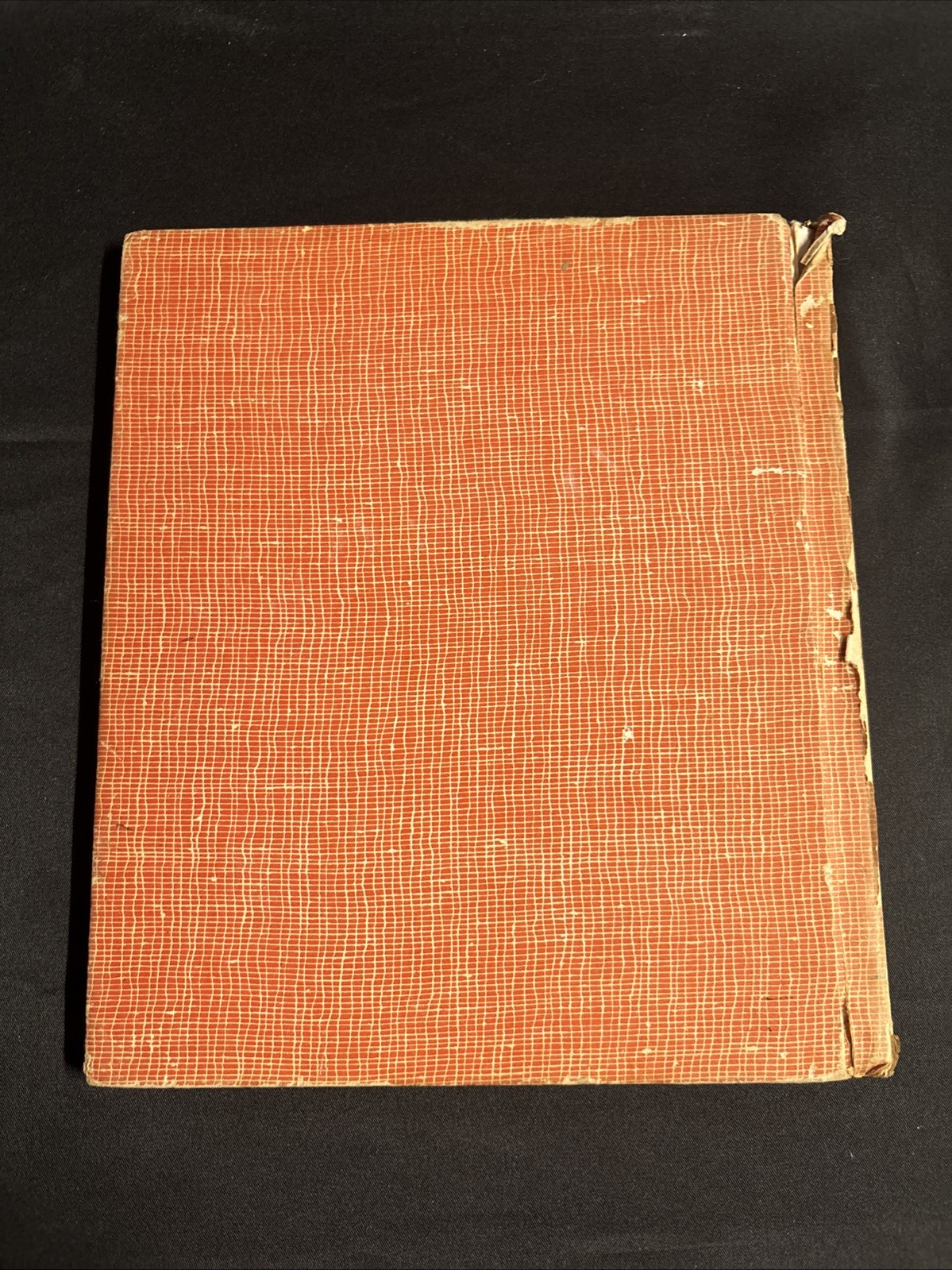 My Easy To Read True Book Of Knights 1956 Vintage Child’s Story Book Eckart