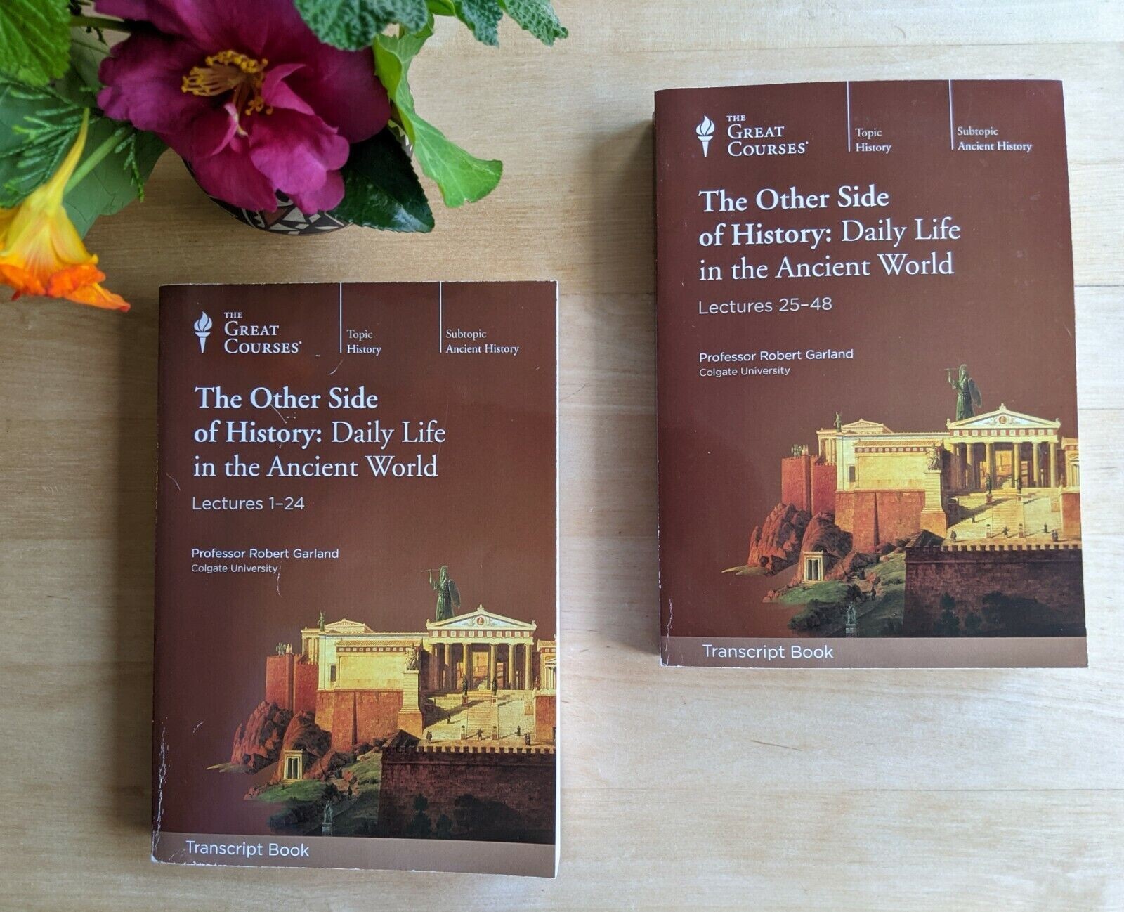 Great Courses-Other Side of History-Daily Life in Ancient World BRAND NEW 24 CD