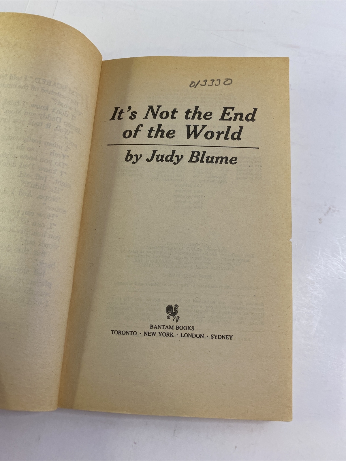 It’s Not the End of the World — Judy Blume (1979, Paperback)