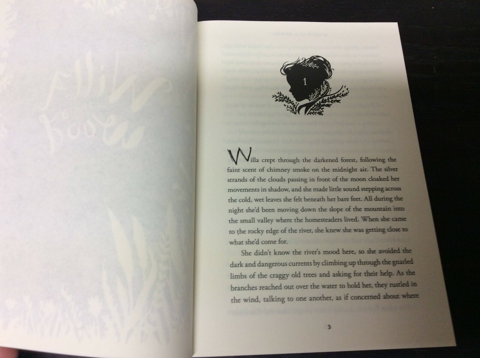 Willa of the Wood (Willa of the Wood, Book 1) by Beatty, Robert 2018 Paperback
