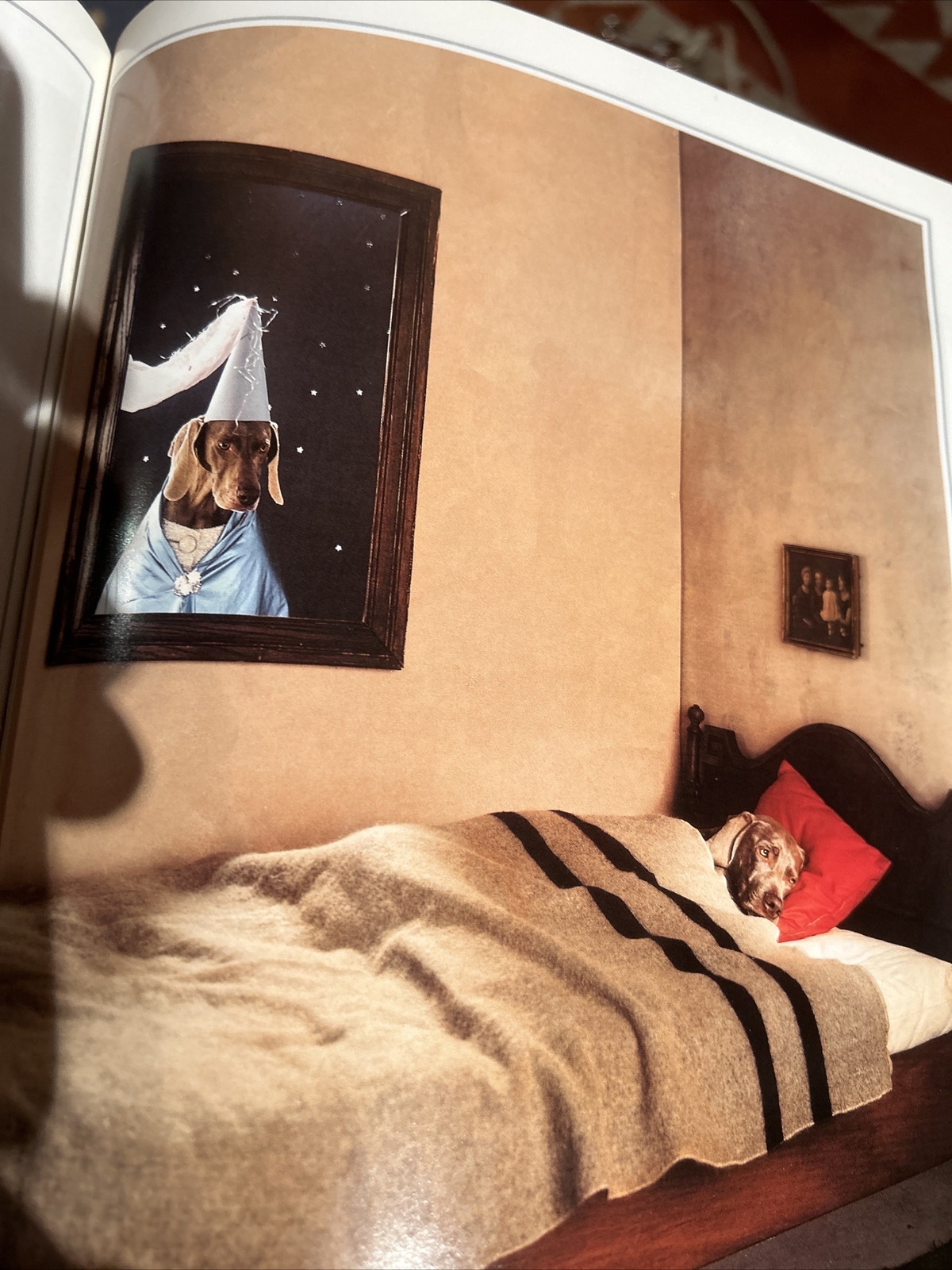 William Wegman «Cinderella” Hardcover, dust jacket, mylar jacket. Gift Quality
