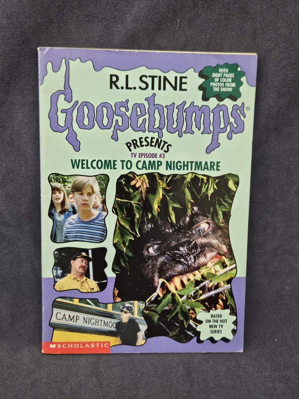 Goosebumps RL Stine Presents TV Episode 1 2 3 Camp Nightmare Cuckoo 1996