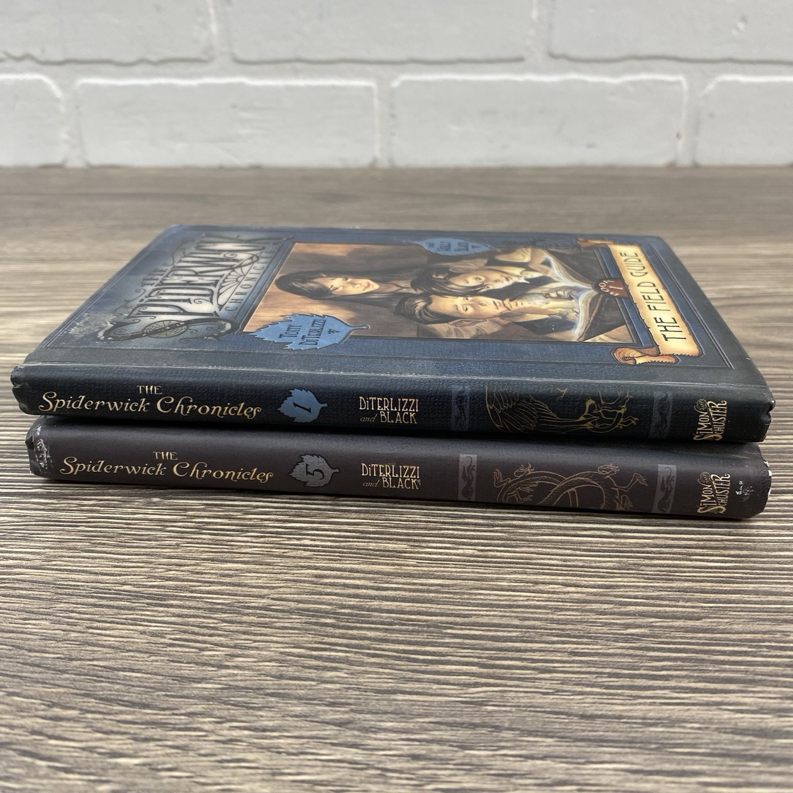 Beyond the Spiderwick Chronicles Series Books 1 And 5 in Hardcover