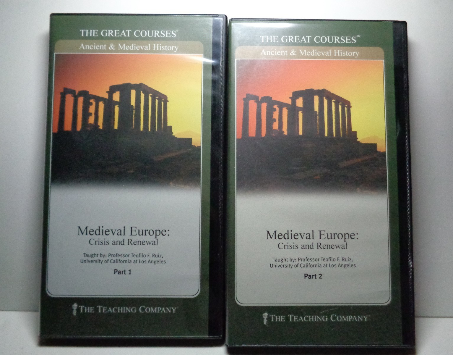 Medieval Europe: Crisis and Renewal parts 1 & 2 The Teaching Co. DVD