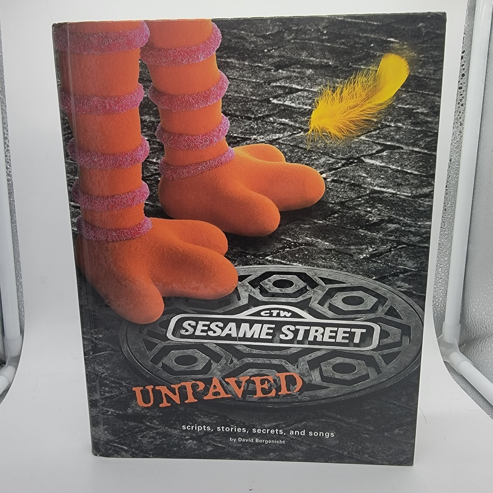 Sesame Street Unpaved: Scripts, Stories, Secrets and Songs