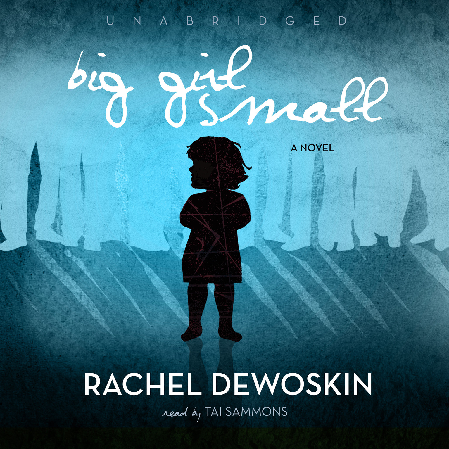 Big Girl Small by Rachel DeWoskin 2011 Unabridged CD 9781441795403