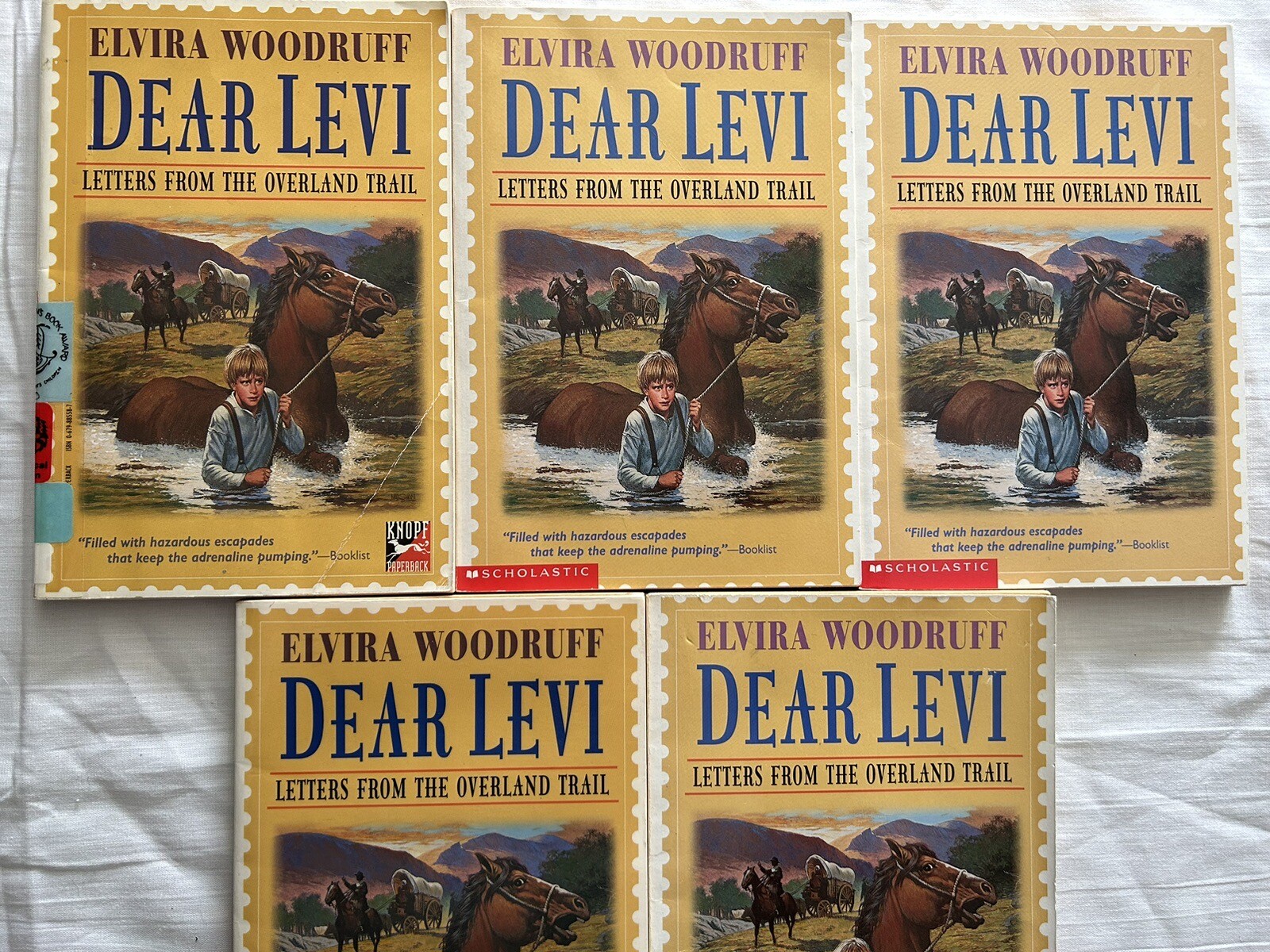 5 Guided Reading Literature Circle Books Dear Levi Oregon Trail