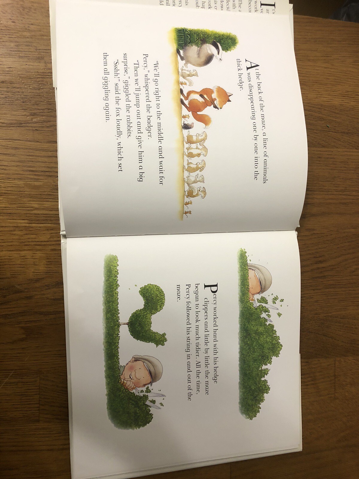 Children’s Book And Audio Cassette — The Secret Path — Read By Richard Briars