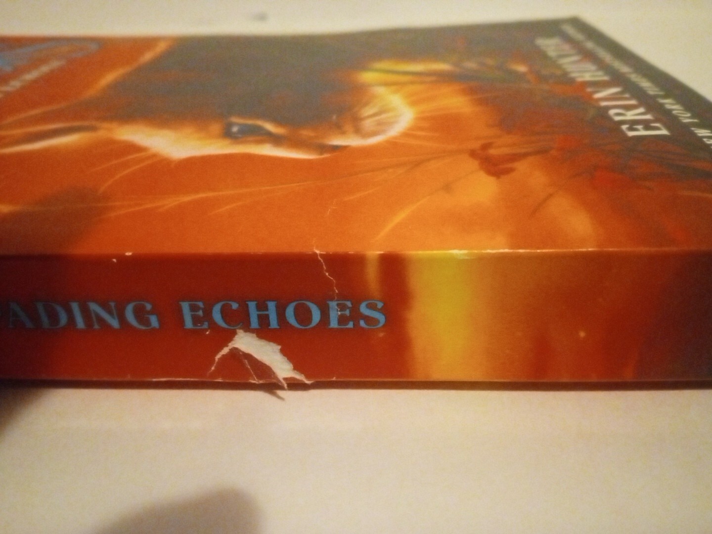 Warriors Omen Of The Stars Book 2 Fading Echos Warrior Cats Book By Erin Hunter