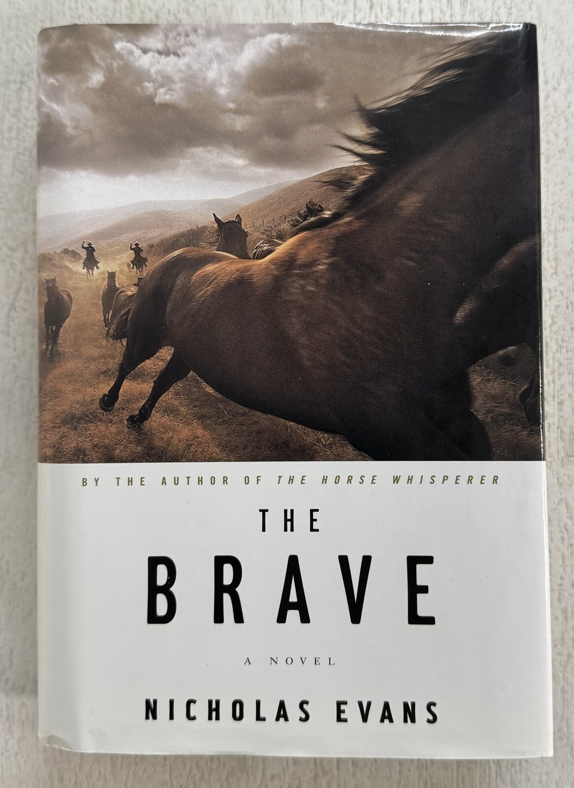 The Brave by Nicholas Evans, 2010 HC Book w/DJ ~ Large Print Ed. ~VG, No Writing