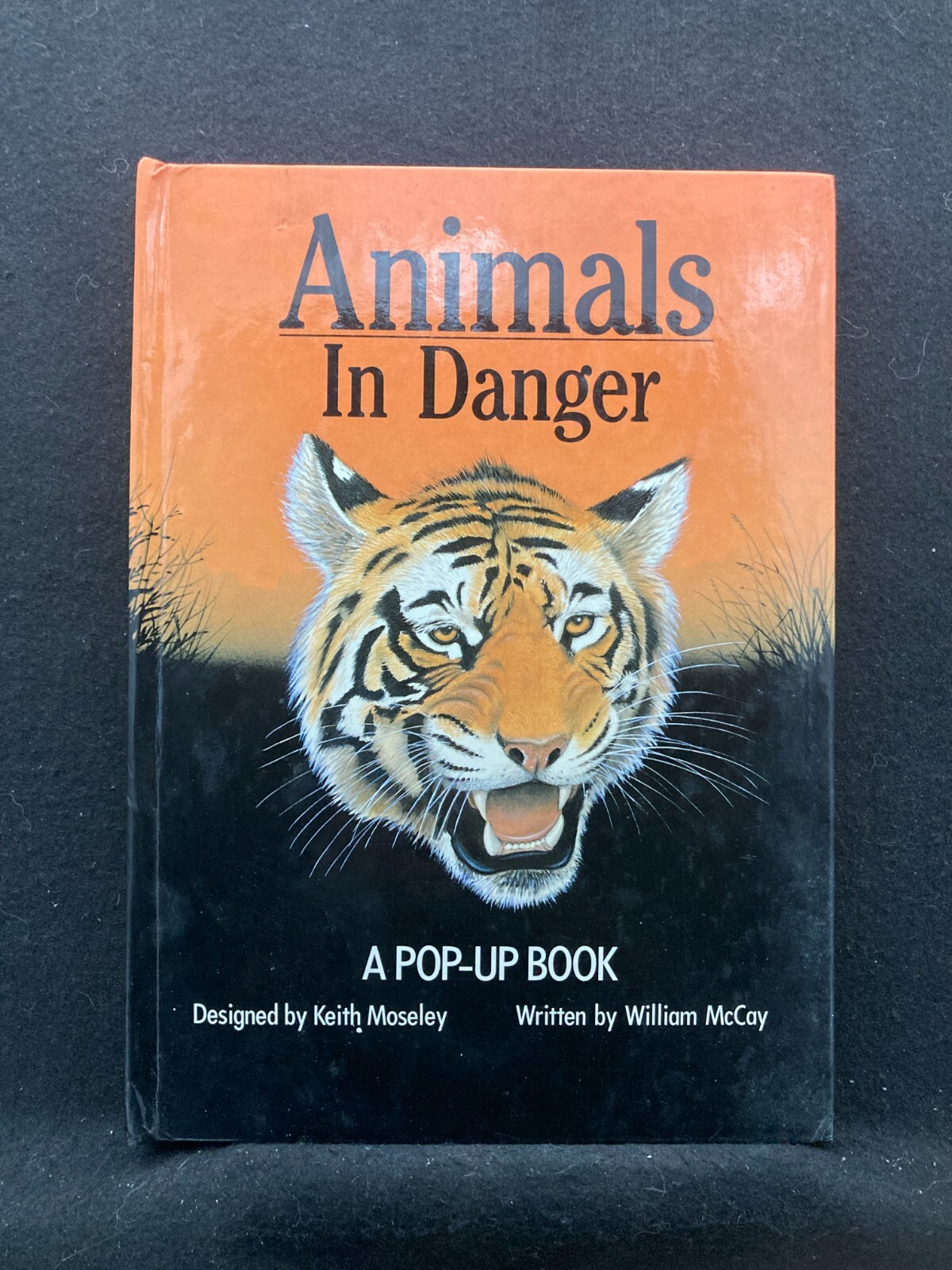 Animals In Danger by William McCay (Hardcover, 1990) A Pop-Up Book