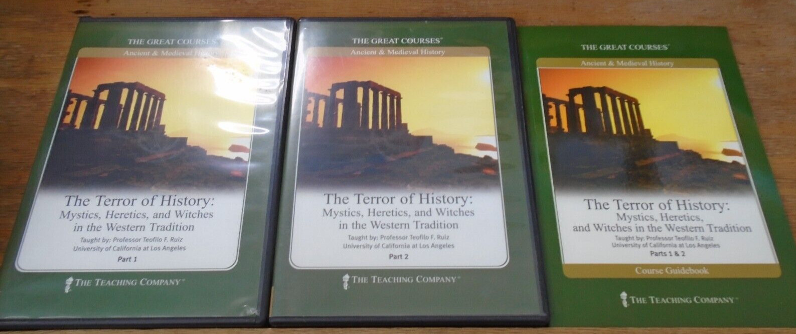 The Great Courses Terror of History: Mystics, Heretics, and Witches in the Weste
