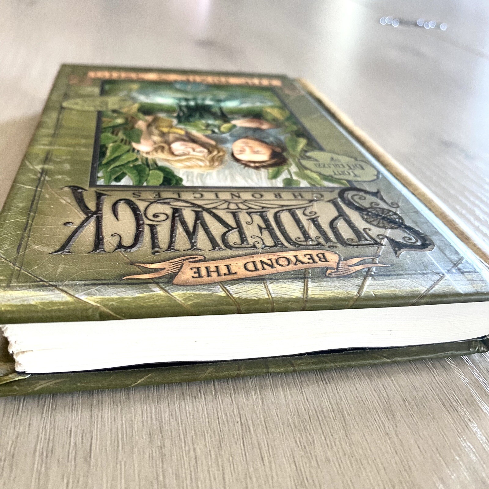 The Nixie’s Song (Beyond The Spiderwick Chronicles, Book 1) — VERY GOOD