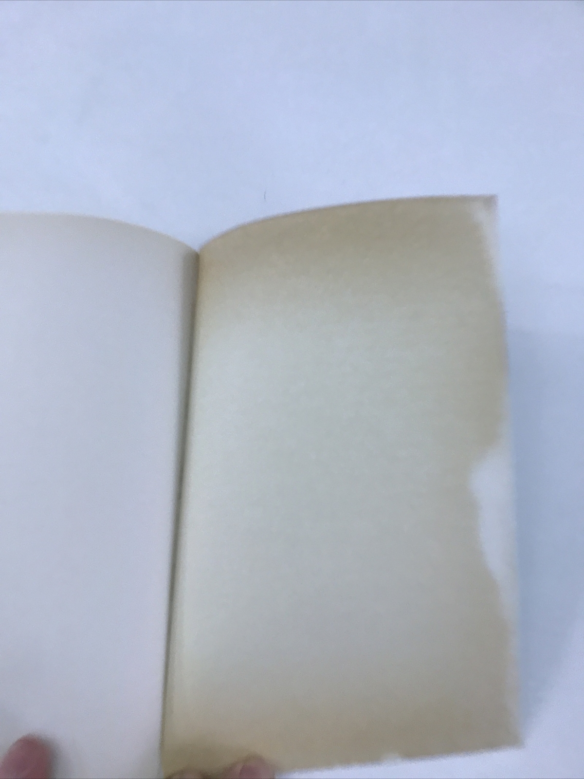 Never Have Your Dog Stuffed — Alan Alda (Paperback, 2006)