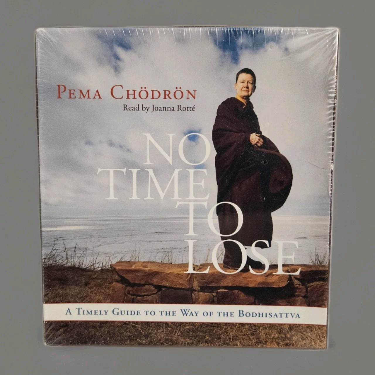 Pema Chodron No Time To Lose A Timely Guide To The Way of The Bodhisattva 10 CDs