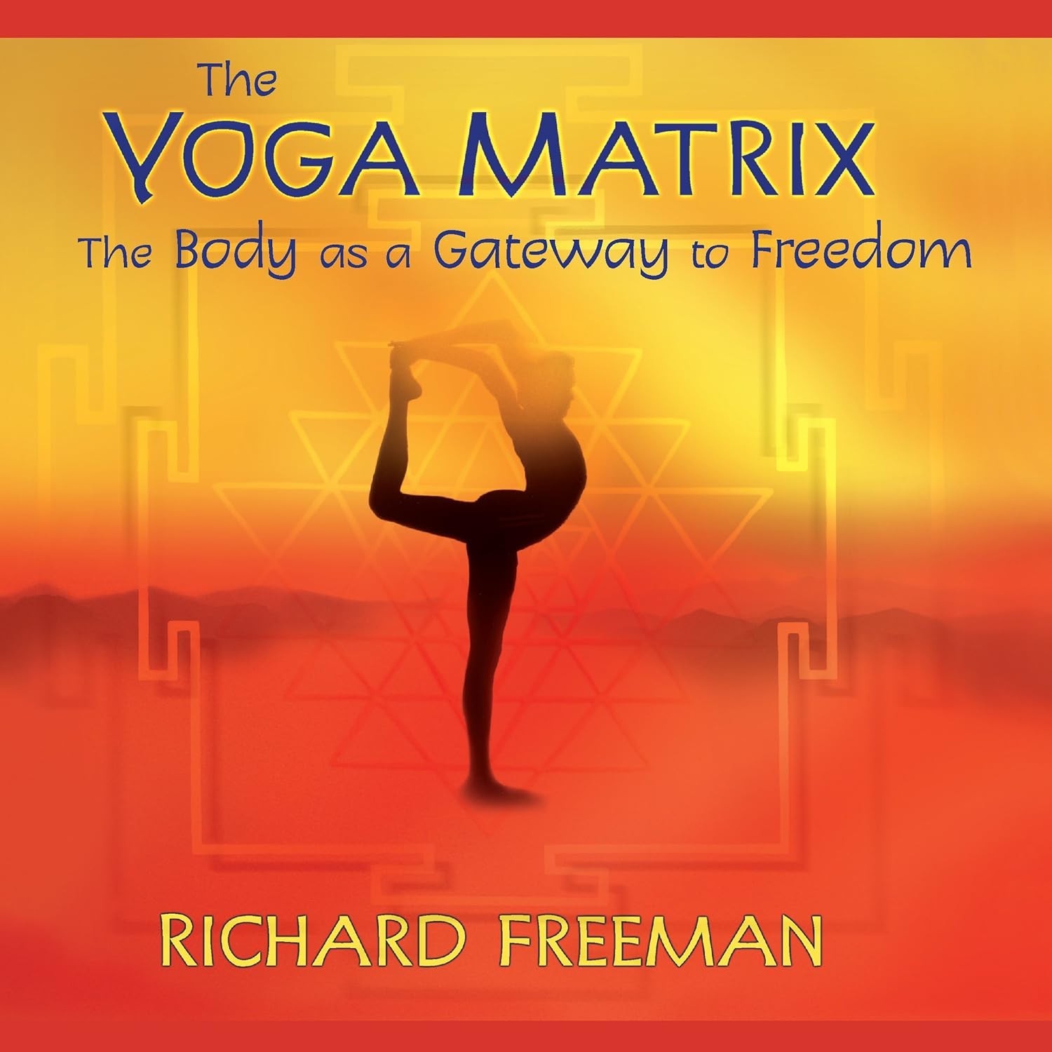 Yoga Matrix : The Body As a Gateway to Freedom by Richard Freeman 2003 CDs