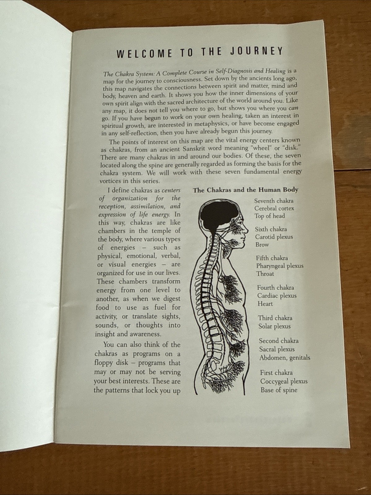Chakra System : A Complete Course in Self-Diagnosis and Healing by Anodea Judith